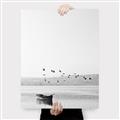 Picture of Birds over the Water _GroupedProduct_Rectangle_Portrait_Photography _GroupedProduct_Rectangle_Portrait_Canvas_