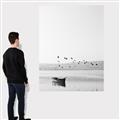 Picture of Birds over the Water _GroupedProduct_Rectangle_Portrait_Photography _GroupedProduct_Rectangle_Portrait_Canvas_