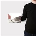 Picture of Rocky Ocean Shore _GroupedProduct_Rectangle_Landscape_Photography _GroupedProduct_Rectangle_Landscape_Canvas_