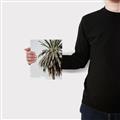 Picture of Canary Palm _GroupedProduct_Rectangle_Portrait_Photography _GroupedProduct_Rectangle_Portrait_Canvas_