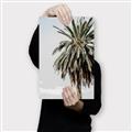 Picture of Canary Palm _GroupedProduct_Rectangle_Portrait_Photography _GroupedProduct_Rectangle_Portrait_Canvas_