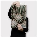 Picture of Cactus Zone _GroupedProduct_Rectangle_Portrait_Photography _GroupedProduct_Rectangle_Portrait_Canvas_