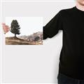 Picture of Tree on a Hill _GroupedProduct_Rectangle_Landscape_Photography _GroupedProduct_Rectangle_Landscape_Canvas_