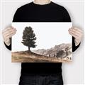 Picture of Tree on a Hill _GroupedProduct_Rectangle_Landscape_Photography _GroupedProduct_Rectangle_Landscape_Canvas_