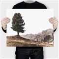 Picture of Tree on a Hill _GroupedProduct_Rectangle_Landscape_Photography _GroupedProduct_Rectangle_Landscape_Canvas_