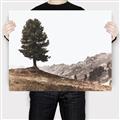 Picture of Tree on a Hill _GroupedProduct_Rectangle_Landscape_Photography _GroupedProduct_Rectangle_Landscape_Canvas_