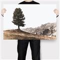 Picture of Tree on a Hill _GroupedProduct_Rectangle_Landscape_Photography _GroupedProduct_Rectangle_Landscape_Canvas_