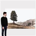 Picture of Tree on a Hill _GroupedProduct_Rectangle_Landscape_Photography _GroupedProduct_Rectangle_Landscape_Canvas_