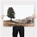 Picture of Tree on a Hill _GroupedProduct_Rectangle_Landscape_Photography _GroupedProduct_Rectangle_Landscape_Canvas_