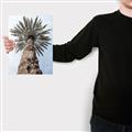 Picture of Palm Perfection _GroupedProduct_Rectangle_Portrait_Photography _GroupedProduct_Rectangle_Portrait_Canvas_