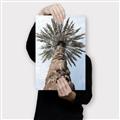 Picture of Palm Perfection _GroupedProduct_Rectangle_Portrait_Photography _GroupedProduct_Rectangle_Portrait_Canvas_