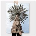 Picture of Palm Perfection _GroupedProduct_Rectangle_Portrait_Photography _GroupedProduct_Rectangle_Portrait_Canvas_