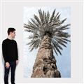 Picture of Palm Perfection _GroupedProduct_Rectangle_Portrait_Photography _GroupedProduct_Rectangle_Portrait_Canvas_