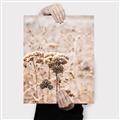 Picture of Macro Dried Florals _GroupedProduct_Rectangle_Portrait_Photography _GroupedProduct_Rectangle_Portrait_Canvas_
