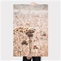 Picture of Macro Dried Florals _GroupedProduct_Rectangle_Portrait_Photography _GroupedProduct_Rectangle_Portrait_Canvas_