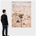 Picture of Macro Dried Florals _GroupedProduct_Rectangle_Portrait_Photography _GroupedProduct_Rectangle_Portrait_Canvas_