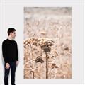 Picture of Macro Dried Florals _GroupedProduct_Rectangle_Portrait_Photography _GroupedProduct_Rectangle_Portrait_Canvas_