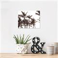 Picture of Cali Palms Sepia Collection _GroupedProduct_Rectangle_Landscape_Photography _GroupedProduct_Rectangle_Landscape_Canvas_