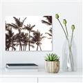 Picture of Cali Palms Sepia Collection _GroupedProduct_Rectangle_Landscape_Photography _GroupedProduct_Rectangle_Landscape_Canvas_