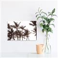 Picture of Cali Palms Sepia Collection _GroupedProduct_Rectangle_Landscape_Photography _GroupedProduct_Rectangle_Landscape_Canvas_