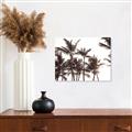 Picture of Cali Palms Sepia Collection _GroupedProduct_Rectangle_Landscape_Photography _GroupedProduct_Rectangle_Landscape_Canvas_
