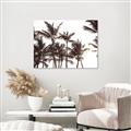 Picture of Cali Palms Sepia Collection _GroupedProduct_Rectangle_Landscape_Photography _GroupedProduct_Rectangle_Landscape_Canvas_