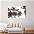 Picture of Cali Palms Sepia Collection _GroupedProduct_Rectangle_Landscape_Photography _GroupedProduct_Rectangle_Landscape_Canvas_