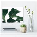 Picture of Plant Bliss _GroupedProduct_Rectangle_Landscape_Photography _GroupedProduct_Rectangle_Landscape_Canvas_