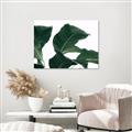 Picture of Plant Bliss _GroupedProduct_Rectangle_Landscape_Photography _GroupedProduct_Rectangle_Landscape_Canvas_