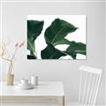 Picture of Plant Bliss _GroupedProduct_Rectangle_Landscape_Photography _GroupedProduct_Rectangle_Landscape_Canvas_
