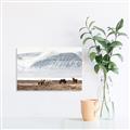 Picture of Wild Horses _GroupedProduct_Rectangle_Landscape_Photography _GroupedProduct_Rectangle_Landscape_Canvas_