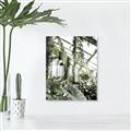 Picture of Greenhouse Serenity  _GroupedProduct_Rectangle_Portrait_Photography _GroupedProduct_Rectangle_Portrait_Canvas_