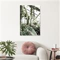 Picture of Greenhouse Serenity  _GroupedProduct_Rectangle_Portrait_Photography _GroupedProduct_Rectangle_Portrait_Canvas_