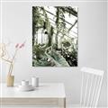 Picture of Greenhouse Serenity  _GroupedProduct_Rectangle_Portrait_Photography _GroupedProduct_Rectangle_Portrait_Canvas_