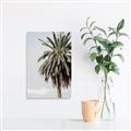 Picture of Canary Palm _GroupedProduct_Rectangle_Portrait_Photography _GroupedProduct_Rectangle_Portrait_Canvas_