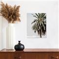 Picture of Canary Palm _GroupedProduct_Rectangle_Portrait_Photography _GroupedProduct_Rectangle_Portrait_Canvas_