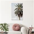 Picture of Canary Palm _GroupedProduct_Rectangle_Portrait_Photography _GroupedProduct_Rectangle_Portrait_Canvas_