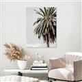 Picture of Canary Palm _GroupedProduct_Rectangle_Portrait_Photography _GroupedProduct_Rectangle_Portrait_Canvas_