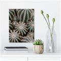 Picture of Cactus Zone _GroupedProduct_Rectangle_Portrait_Photography _GroupedProduct_Rectangle_Portrait_Canvas_
