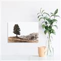 Picture of Tree on a Hill _GroupedProduct_Rectangle_Landscape_Photography _GroupedProduct_Rectangle_Landscape_Canvas_