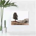 Picture of Tree on a Hill _GroupedProduct_Rectangle_Landscape_Photography _GroupedProduct_Rectangle_Landscape_Canvas_
