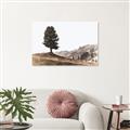Picture of Tree on a Hill _GroupedProduct_Rectangle_Landscape_Photography _GroupedProduct_Rectangle_Landscape_Canvas_