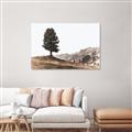 Picture of Tree on a Hill _GroupedProduct_Rectangle_Landscape_Photography _GroupedProduct_Rectangle_Landscape_Canvas_