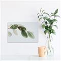 Picture of Spring Dew Leaves _GroupedProduct_Rectangle_Landscape_Photography _GroupedProduct_Rectangle_Landscape_Canvas_