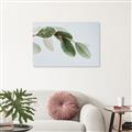 Picture of Spring Dew Leaves _GroupedProduct_Rectangle_Landscape_Photography _GroupedProduct_Rectangle_Landscape_Canvas_