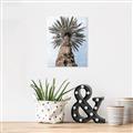 Picture of Palm Perfection _GroupedProduct_Rectangle_Portrait_Photography _GroupedProduct_Rectangle_Portrait_Canvas_