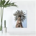 Picture of Palm Perfection _GroupedProduct_Rectangle_Portrait_Photography _GroupedProduct_Rectangle_Portrait_Canvas_