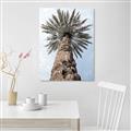 Picture of Palm Perfection _GroupedProduct_Rectangle_Portrait_Photography _GroupedProduct_Rectangle_Portrait_Canvas_