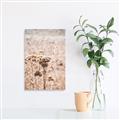 Picture of Macro Dried Florals _GroupedProduct_Rectangle_Portrait_Photography _GroupedProduct_Rectangle_Portrait_Canvas_