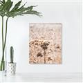Picture of Macro Dried Florals _GroupedProduct_Rectangle_Portrait_Photography _GroupedProduct_Rectangle_Portrait_Canvas_